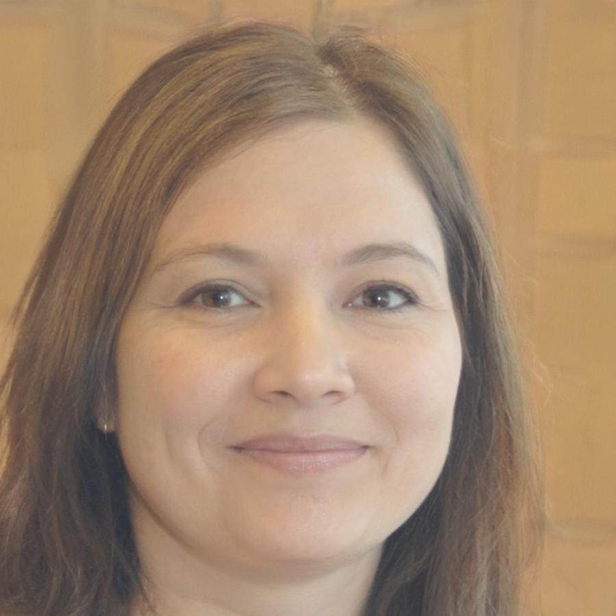 Elena Bjornstad, Chief Database Architect at PrimeXUltratek